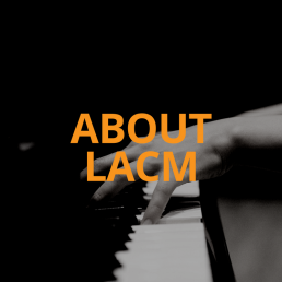 About LACM Linked Photo