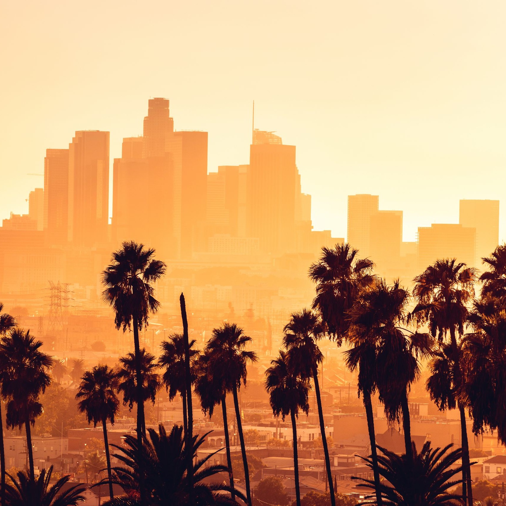 Ts Los Angeles Tumblr
